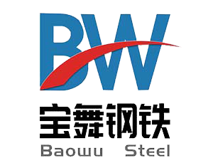 Shandong Baowu Steel Group.